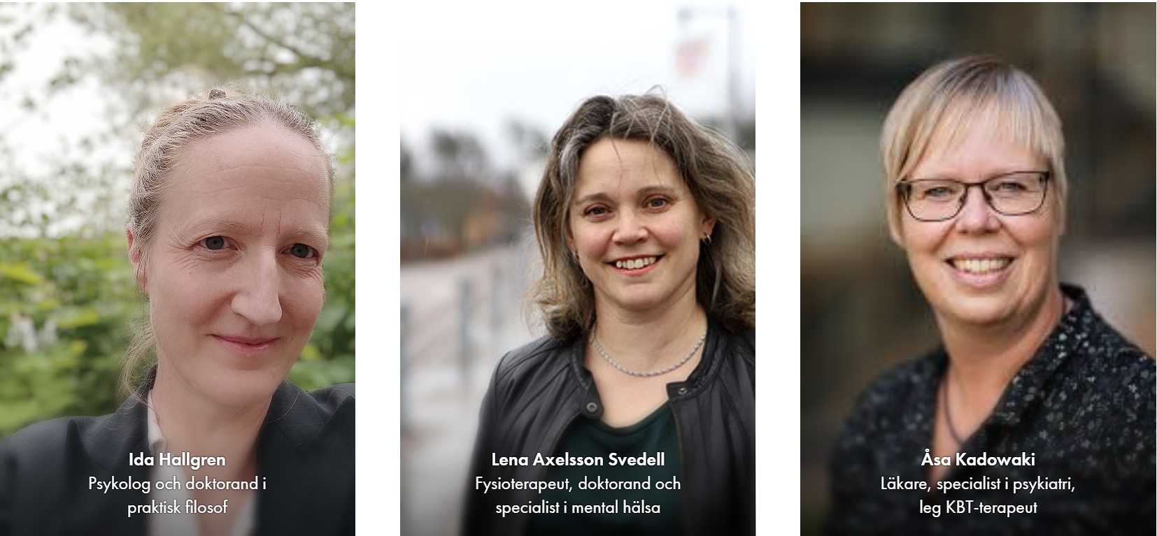 De tre föreläsarna