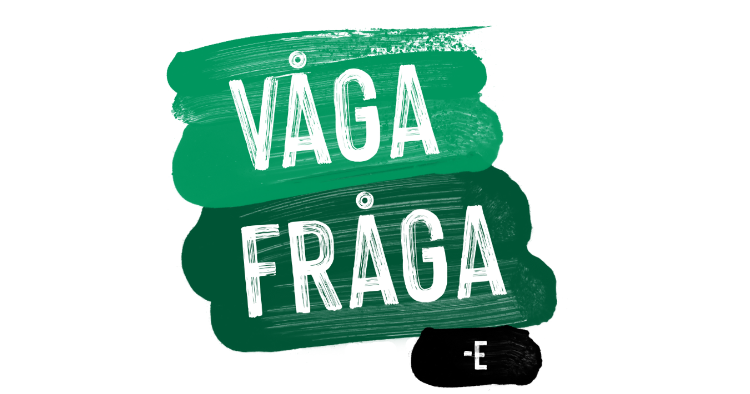 Våga fråga e-